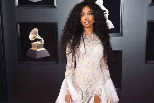 Who Should Win Record Of The Year At The 2024 Grammy Awards?  Vote!
