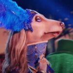 Afghan Hound performs on "The Masked Singer 2024".