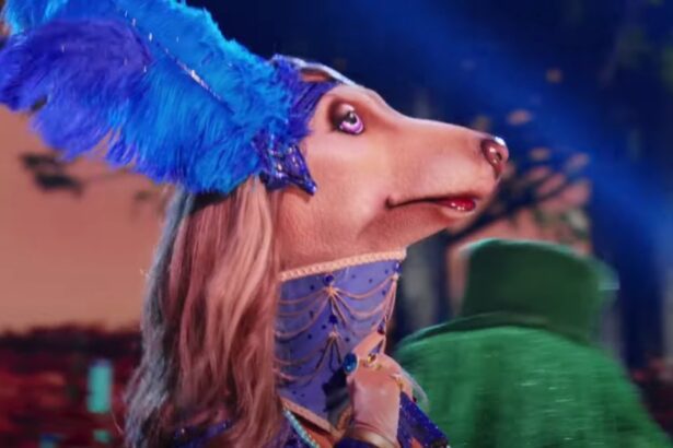 Afghan Hound performs on "The Masked Singer 2024".