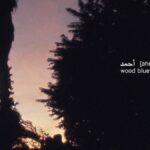 Ahmed [Ahmed]: Wood Blues