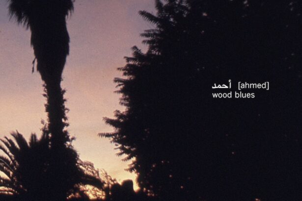 Ahmed [Ahmed]: Wood Blues