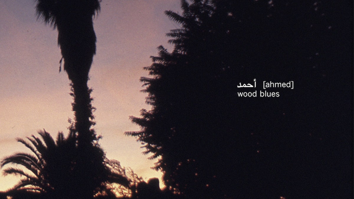 Ahmed [Ahmed]: Wood Blues