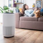 Best budget air purifiers: 3 affordable options for allergies, pet dander and more – starting at $48