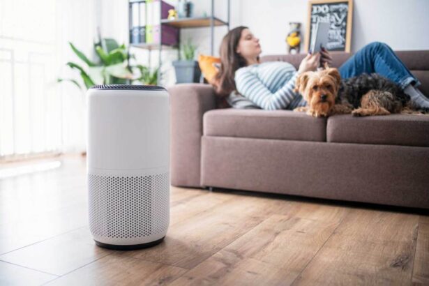 Best budget air purifiers: 3 affordable options for allergies, pet dander and more – starting at $48