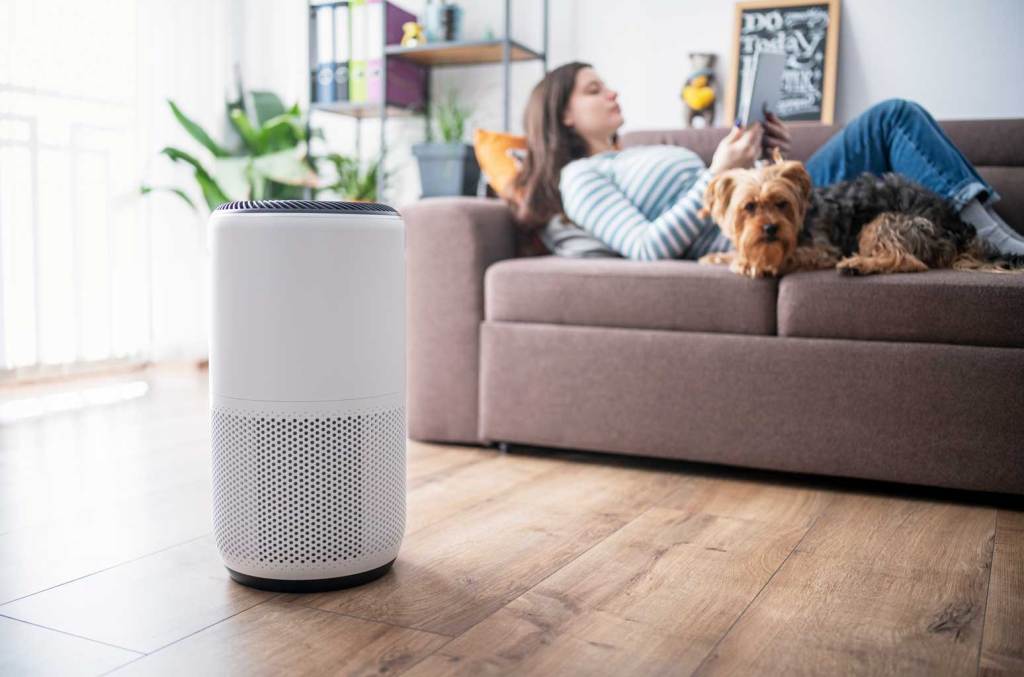 Best budget air purifiers: 3 affordable options for allergies, pet dander and more – starting at $48