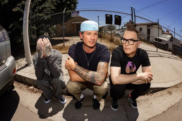 Blink-182 Cancels 3 Mexico City Shows 'Due to Illness'