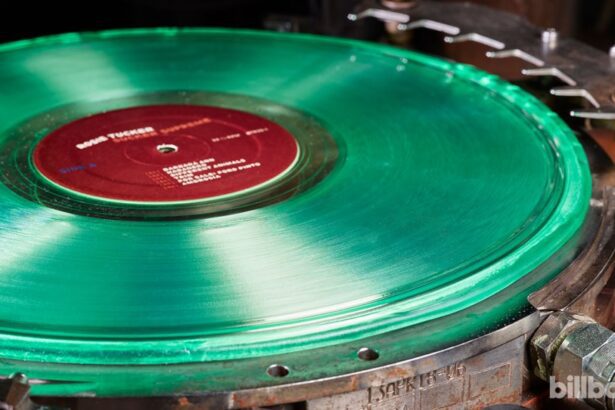 How Vinyl Can Harness the Influence of Superfans (Guest Column)