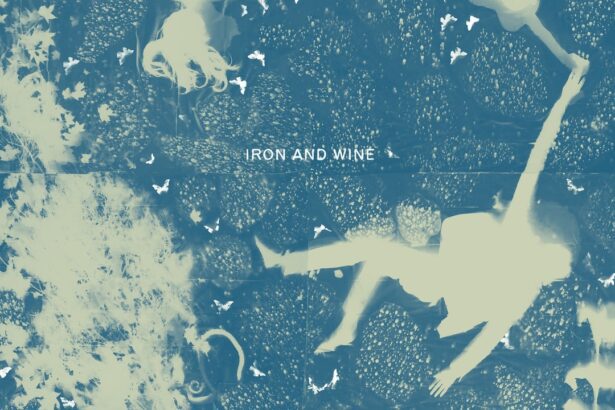 Iron & Wine: Light Verse