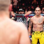 UFC 300 Live Stream: How To Watch Pereira vs Hill Online Without Cable