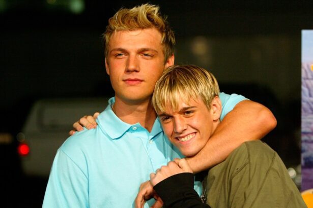 'Fallen Idols: Nick and Aaron Carter': How to Stream the Docuseries Free Without Cable