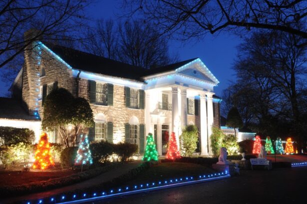 Graceland sale blocked as Elvis Presley heir fights 'fraudulent' foreclosure