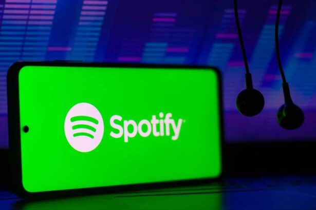 Spotify's US price hike was hailed by investors as a spike in the stock