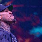 Chris Brown accused in new lawsuit of 'barbarically and seriously' attacking concertgoers