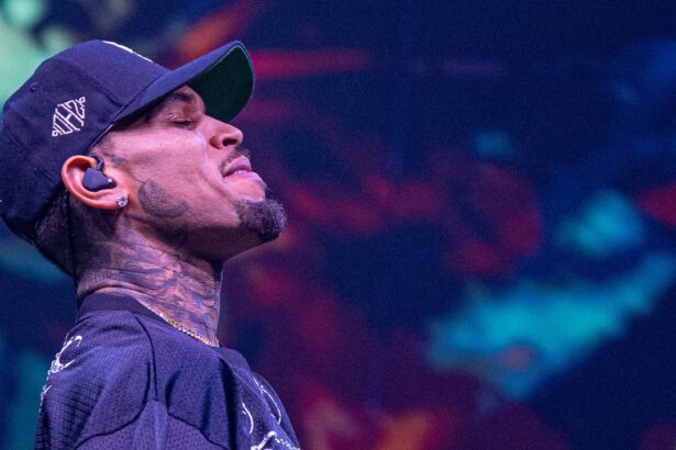 Chris Brown accused in new lawsuit of 'barbarically and seriously' attacking concertgoers