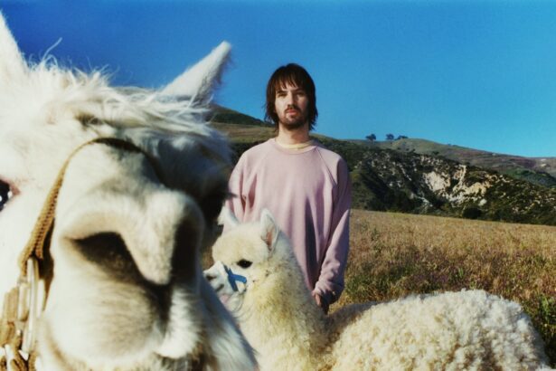 Tame Impala presents the APC Capsule Collection