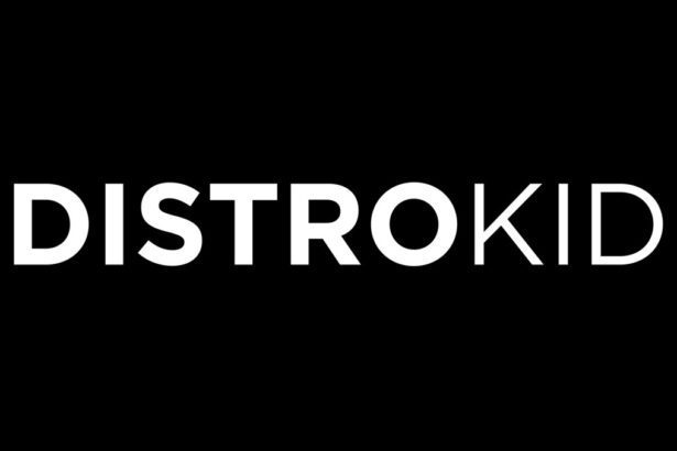 TikTok, DistroKid Expand collaboration with Artist Account Tool