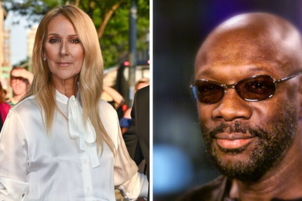 Celine Dion and the Estate of Isaac Hayes are suing Trump for using their songs