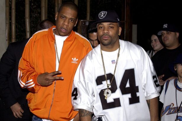 Damon Dash's Roc-A-Fella Shares Will Be Auctioned Off To Pay Legal Judgments — But There May Be A Catch