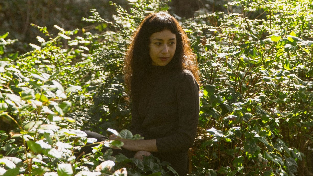 Haley Heynderickx Announces New Album Seed of a Seed, Shares 'Foxglove' Video: Watch