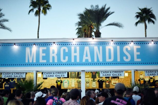 Music Merch is a big business, but it won't offer much growth