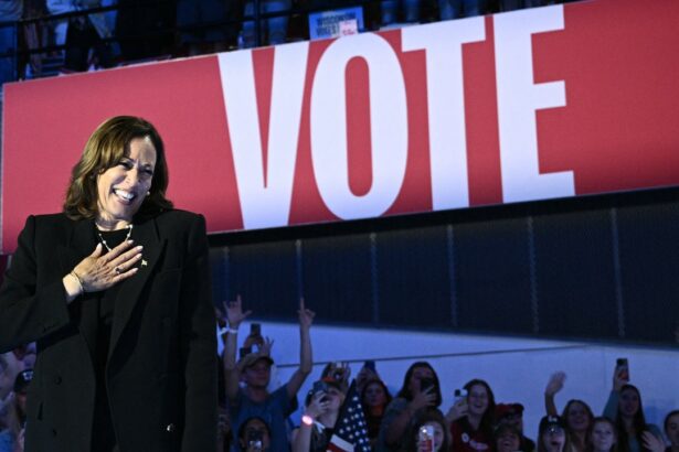 The National, Remi Wolf, and More Perform at Kamala Harris Rally: Watch