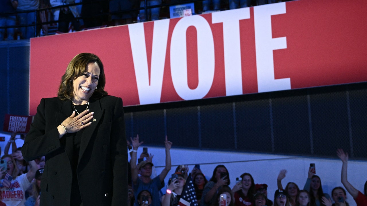 The National, Remi Wolf, and More Perform at Kamala Harris Rally: Watch