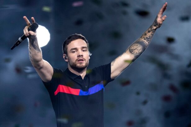 What's the future of Liam Payne's Solo Material?