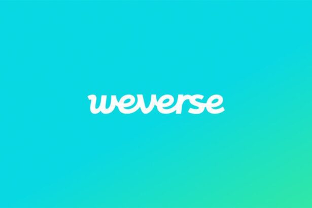 HYBE's Weverse is pioneering a new subscription model for Superfans, but it's not without controversy