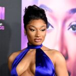 Megan Thee Stallion Wants Restraining Order Against Tory Lanez Over Harassment Claims