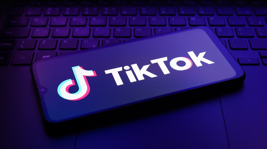 TikTok asks Supreme Court to block US law that would have banned it if not sold